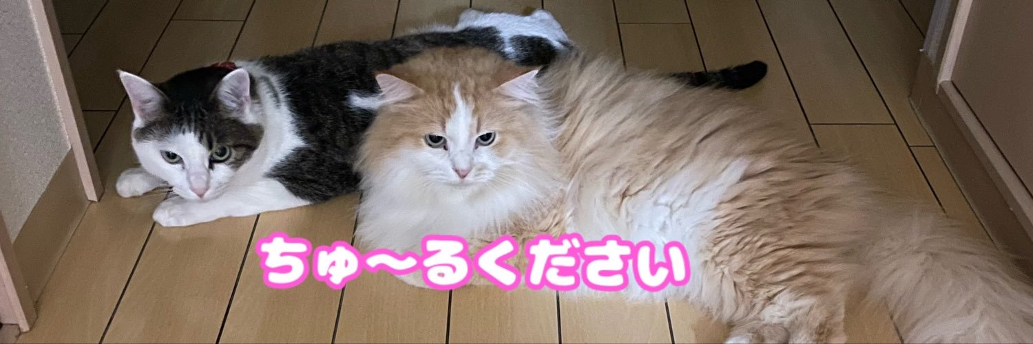 ヤシちゃん🌴's banner