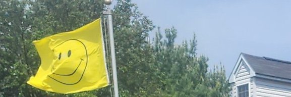 The Glaggleland Times!'s banner
