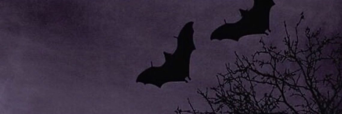becca's banner