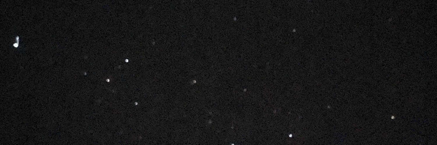 ridersmastico's banner