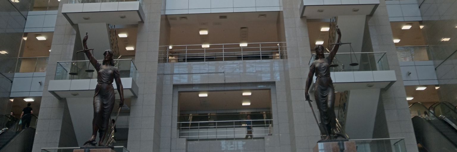 Şevv's banner