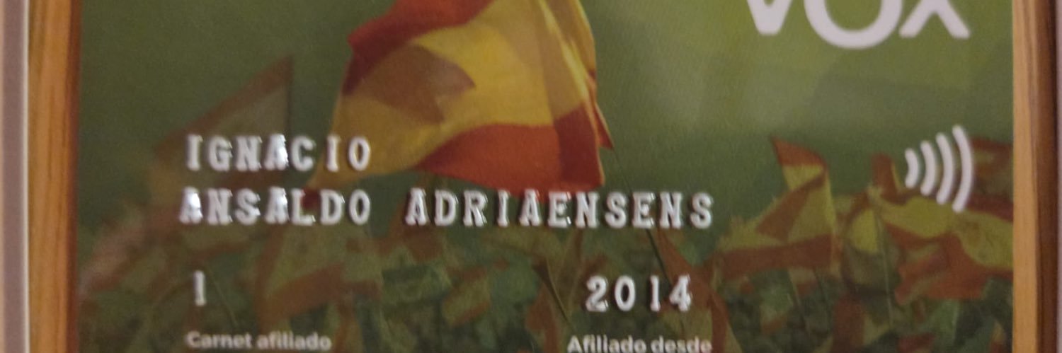 Ignacio Ansaldo Adriaensens's banner