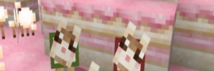 Nora ;3 ($hedtwt)'s banner