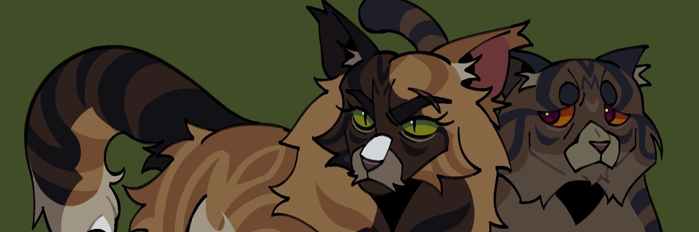 NightyStorm's banner
