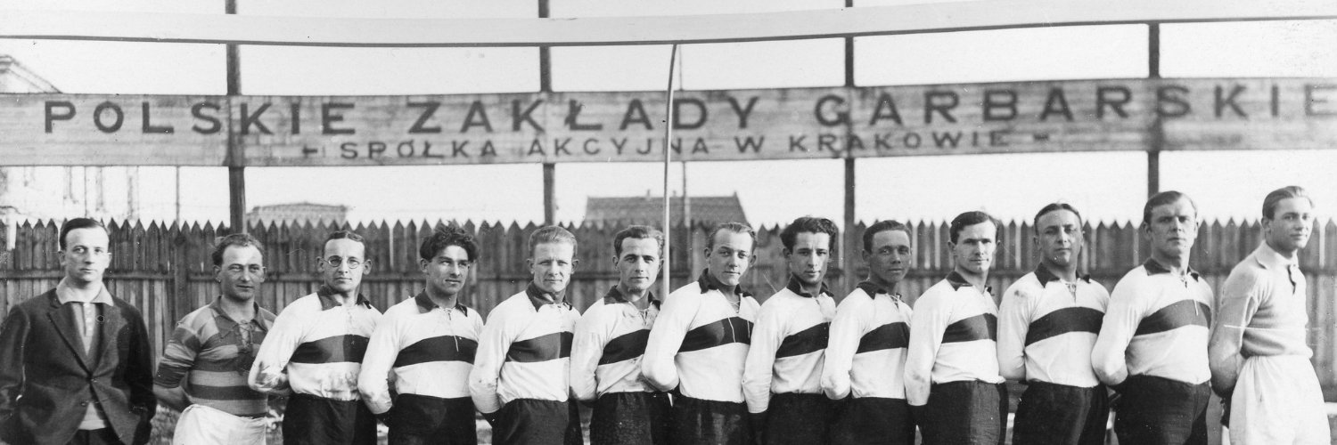 Karate's banner
