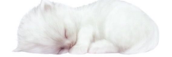 Nurse meow~'s banner