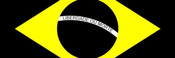 Chequei Ancap's banner
