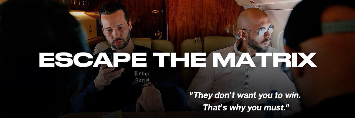 Tate Clips Daily's banner