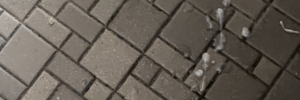 seiji milks🍆💦's banner
