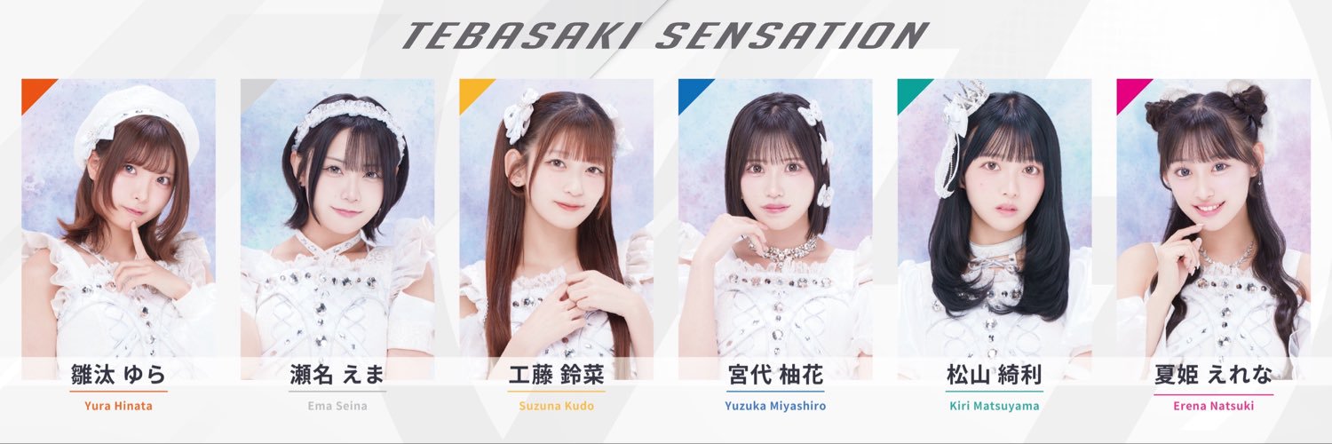 手羽先センセーション's banner