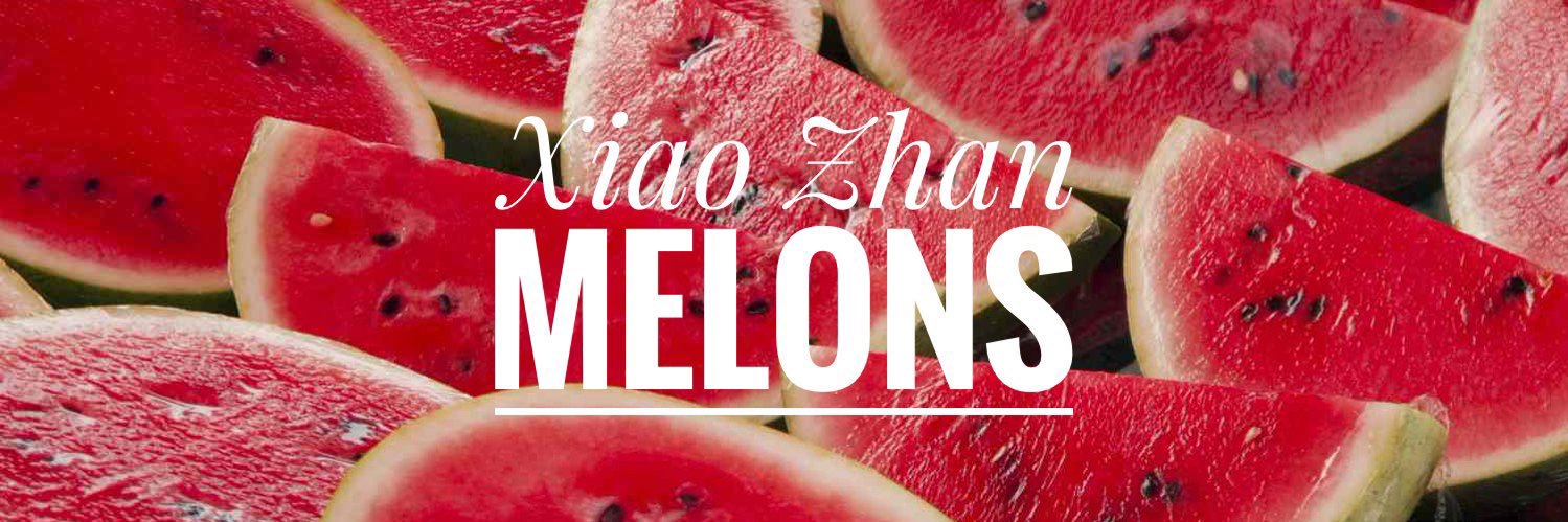 Xiao Zhan Melons🍉's banner