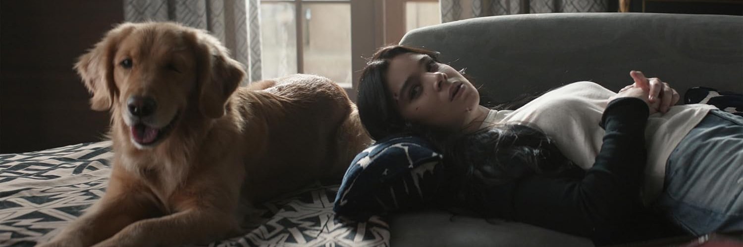 ashley ➼⧗'s banner