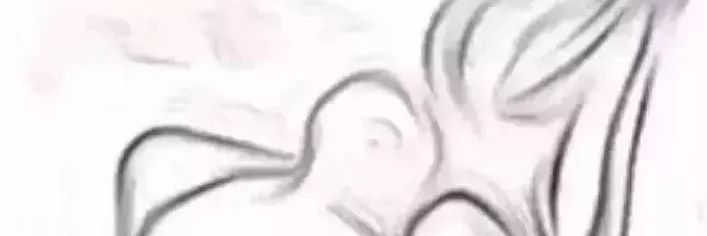 挖掘雞's banner