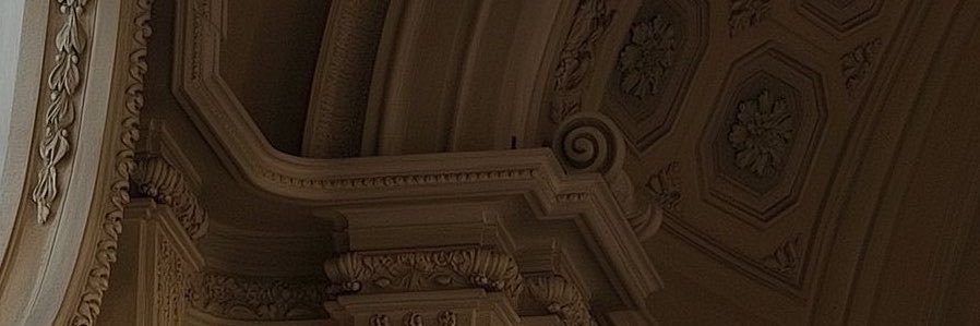 Zynp 🌻's banner