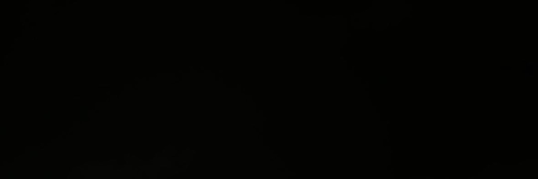 𝓓𝓸𝓰𝓰𝓸 𝓓𝓮𝓵𝓲𝓰𝓱𝓽 🐶's banner