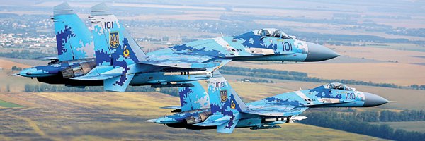 Ukrainian Witness 🇺🇦's banner