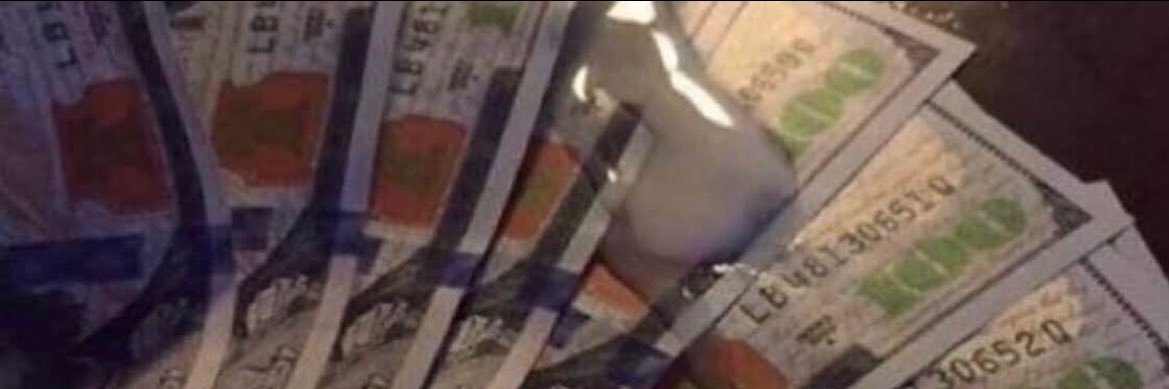 TheOfficialGee⚜️'s banner