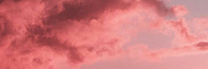 alice 🦩's banner