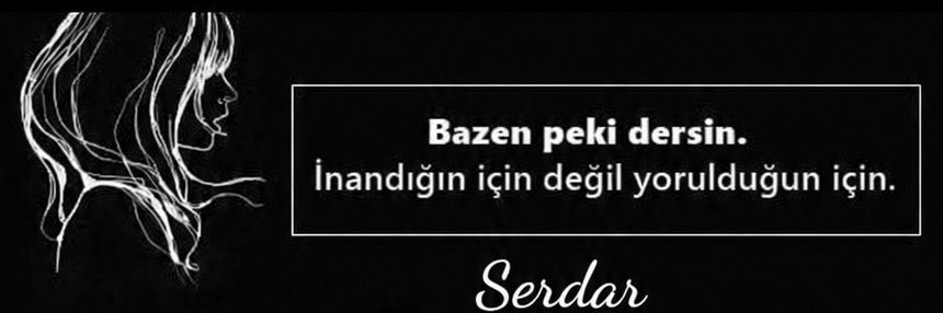 Serdar's banner