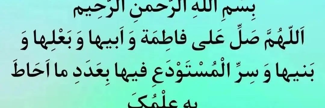 نگین🇮🇷🇮🇷's banner