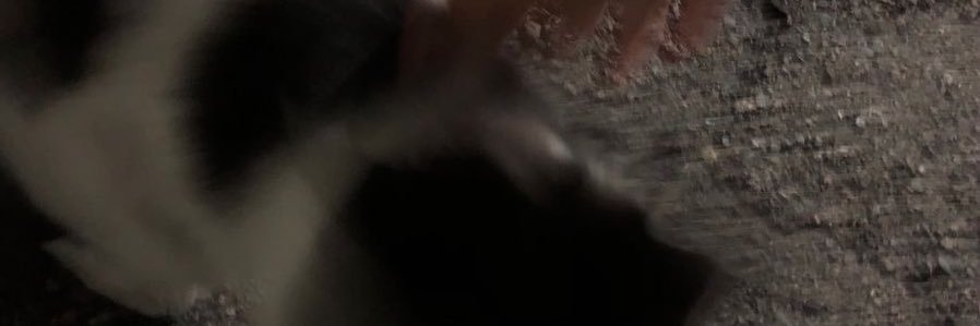 ْ's banner