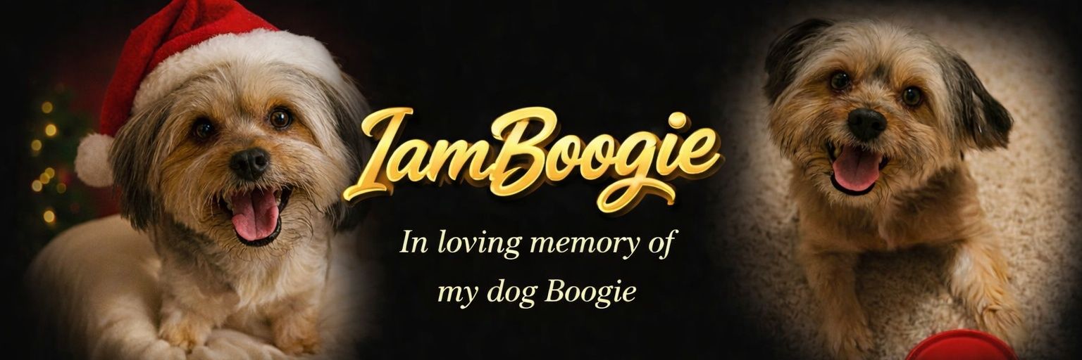 Boogie's banner