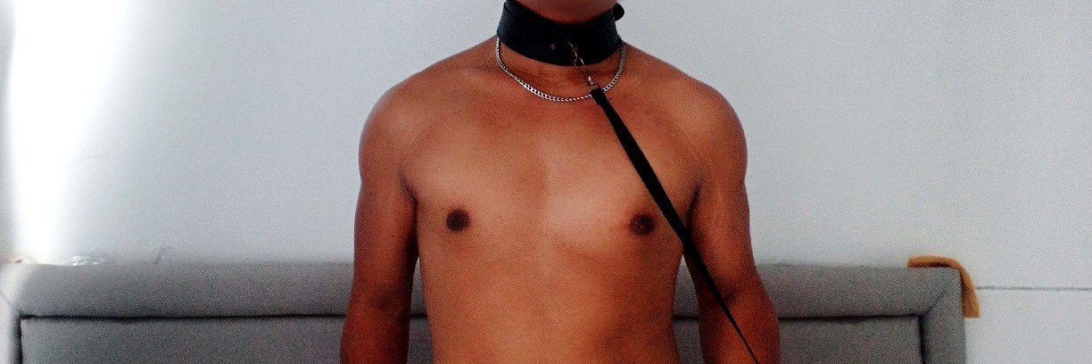 Dickt.'s banner