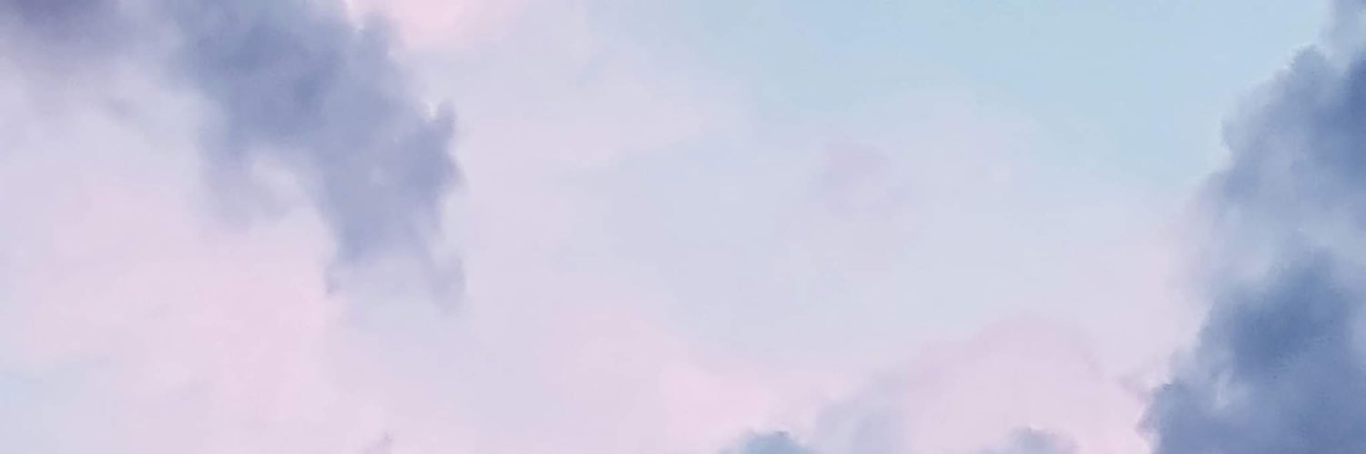 ไข่เจียว..ของพี่ฮ่องกง ツ's banner