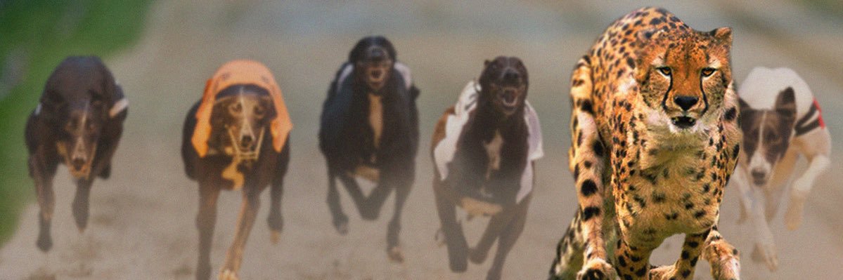 Greyhound TrackSide's banner