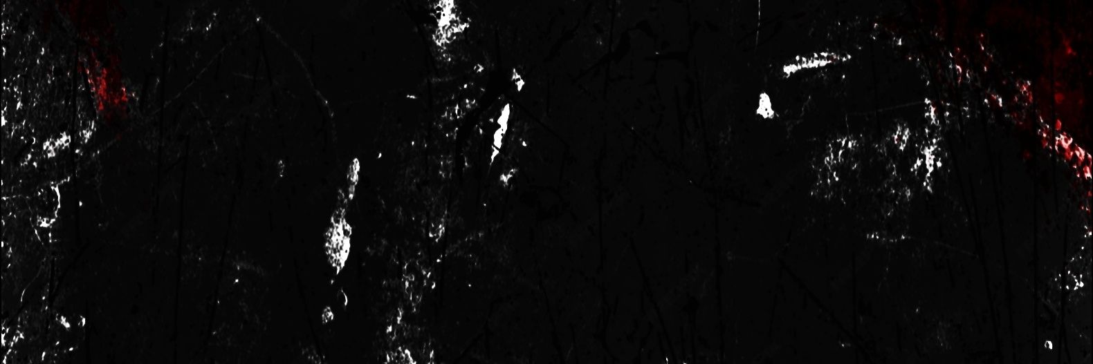 ᅠ ᅠ ᅠ ᅠ ᅠ ᅠ ᅠᅠ ᅠ ꖂ's banner