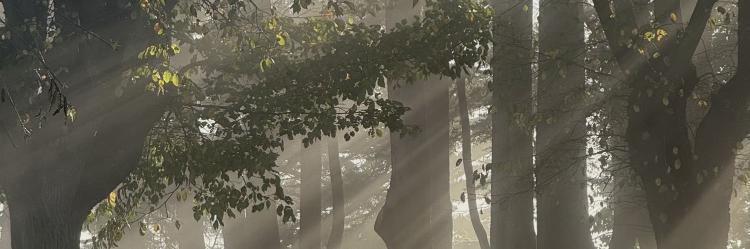 Mika Sagindyk's banner