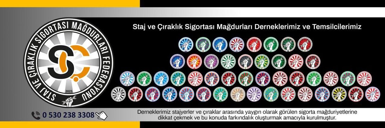İSTANBUL STAJ VE ÇIRAKLIK DERNEĞİ's banner