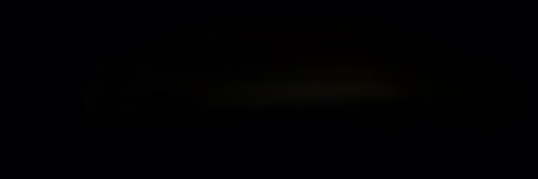 Silent Strength's banner