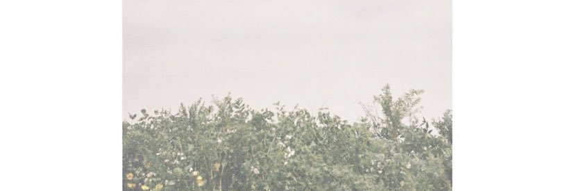 啊啾信息差（互fo）'s banner