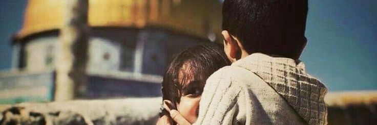 محمد هاشم-🇾🇪🇵🇸Mohammad Hashim🔻's banner