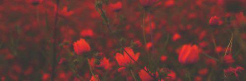 ∞'s banner