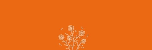 سعيد السناني's banner