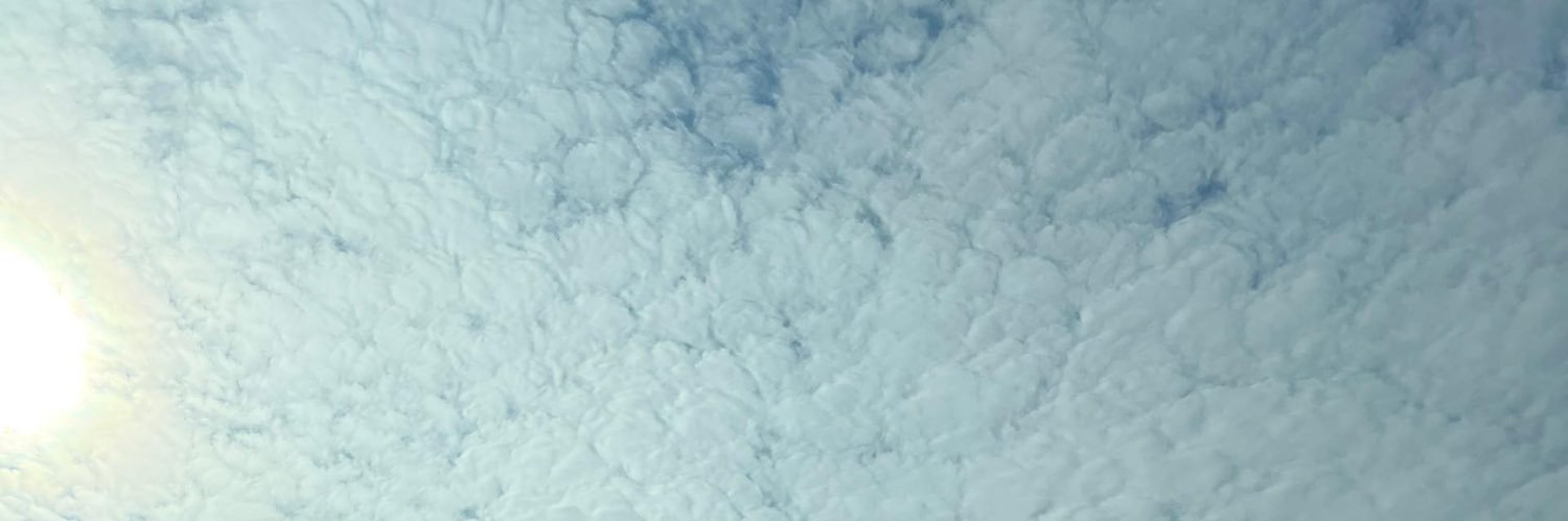 今晚打老虎's banner