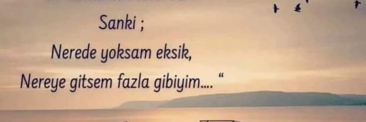🇹🇷𝙂𝙖𝙧𝙞𝙥 𝙔𝙤𝙡𝙘𝙪🇹🇷's banner
