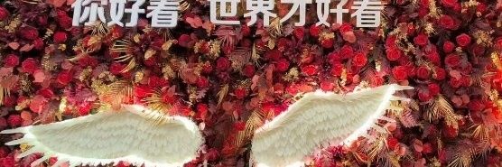 @0543男妓天妃@cd's banner
