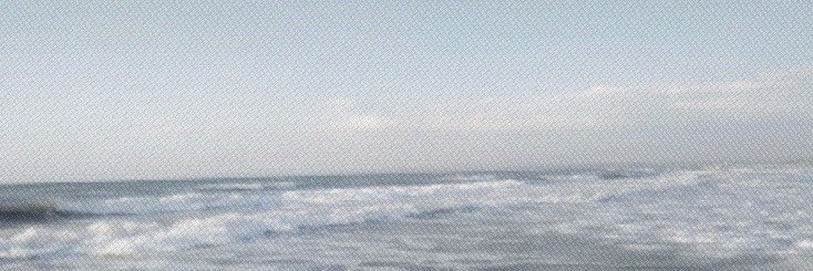 june! ֶָ֢𐚁๋࣭⭑ֶָ֢'s banner