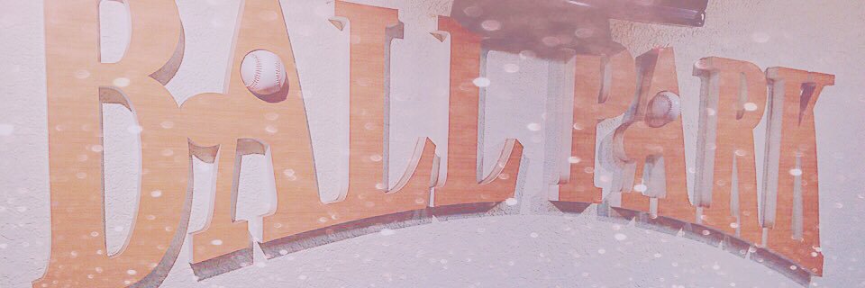 竹村美緒's banner