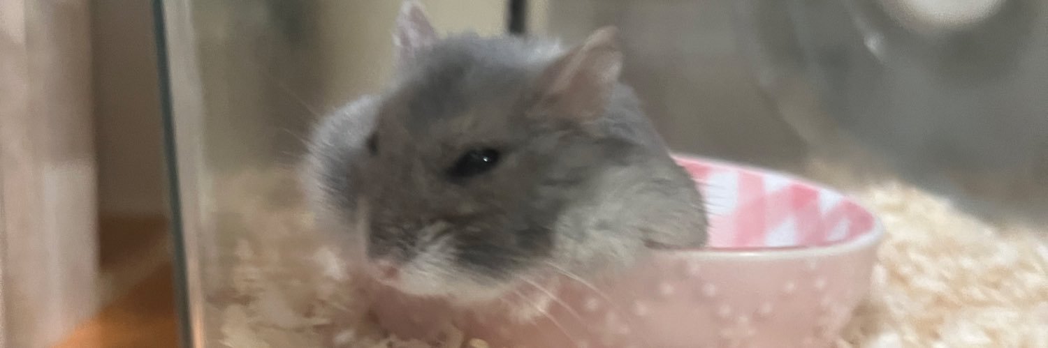 ハムっと🐹みなみ's banner