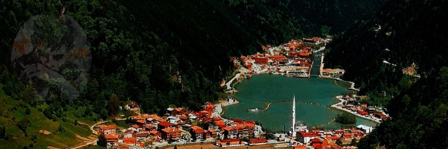 Togay's banner