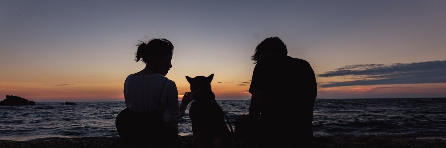 きまぐれひまわり's banner