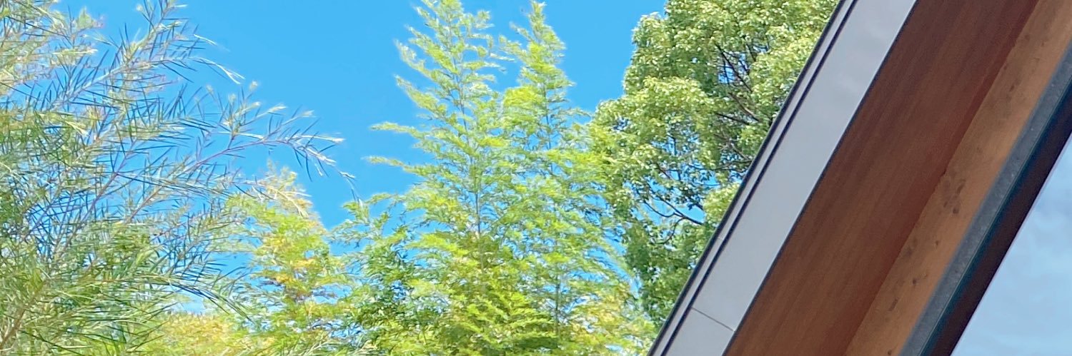 CHAMO_TEE's banner