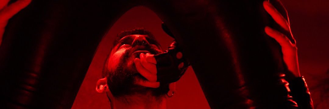 SALVAJE's banner