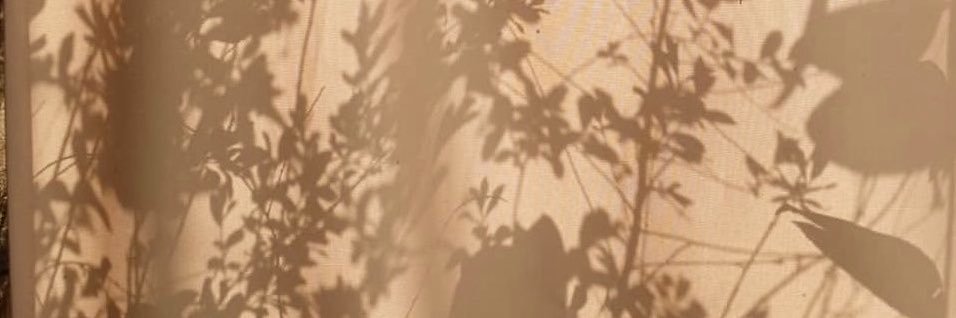 aleah avery's banner