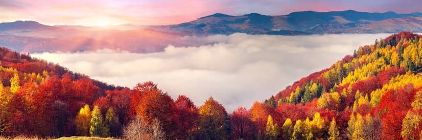 Newtoday | Chill Vibes's banner