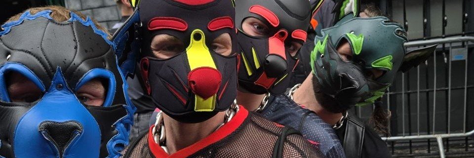 Alpha Himbo Bane - GC Fetish Week 3rd-13th Oct's banner
